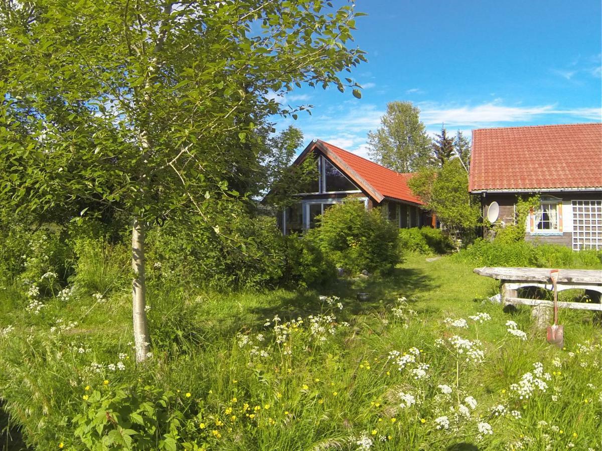 Art Studio Sortland Luaran gambar
